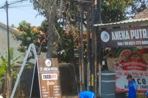 Jasa Neon Box Cilacap Profesional untuk Toko & Perusahaan